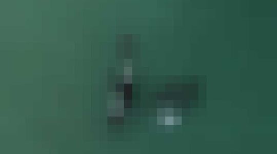 Orka's Vrouw Nieuw-Zeeland Gewoonvoorhem