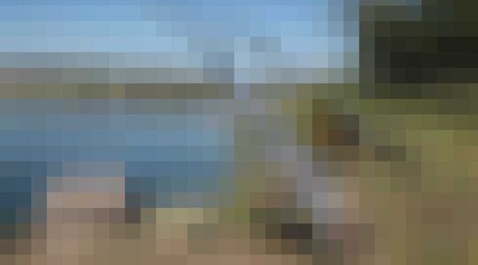 Vissen Aaswerper Bait Launcher