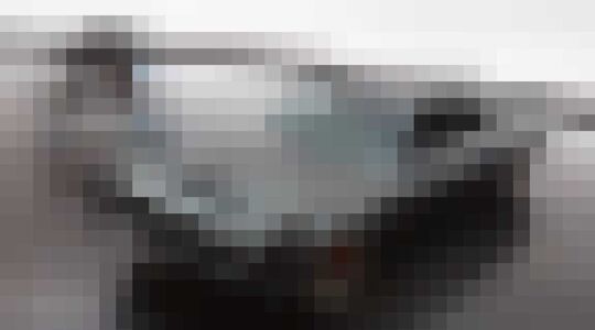 Hellephant gewoonvoorhem 6