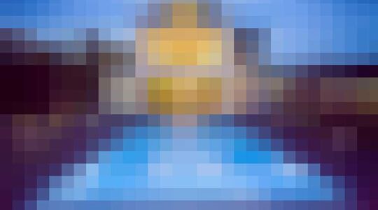 12 persoonsvilla Marbella Gewoonvoorhem 1