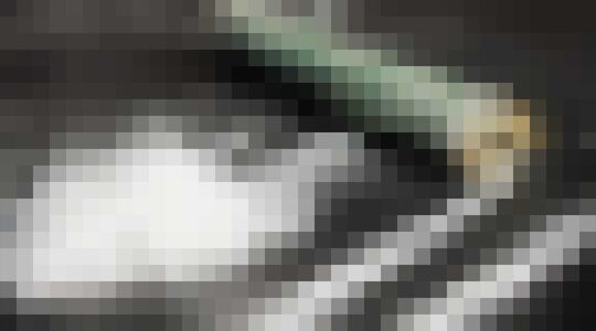 Illustratie voor: Australiër had door fout van de bank ongelimiteerd banksaldo totdat…