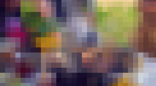 Draagbare gasbarbecue van nomadiQ Gewoonvoorhem