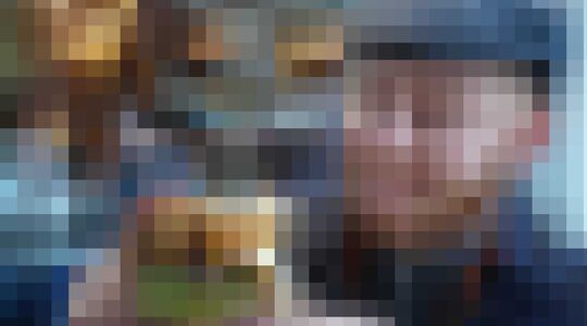 burgerweek amsterdam hamburgers burger eten