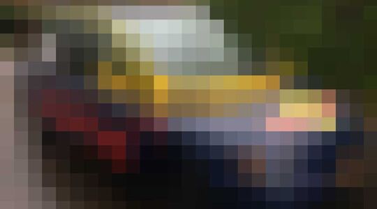 Fiat Multipla Max Verstappen Gewoonvoorhem