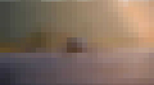 Black Swan Unmanned Aircraft Dronamics