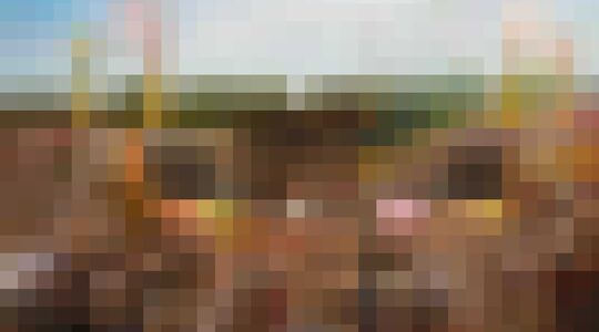 Festivals in Nederland