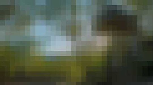 Boomhut overnachting