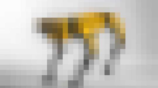 Hond SpotMini Boston Dynamics