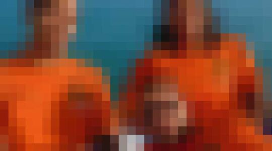 nederlands elftal kans wereldkampioen