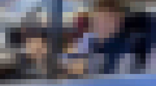 vermogen max verstappen