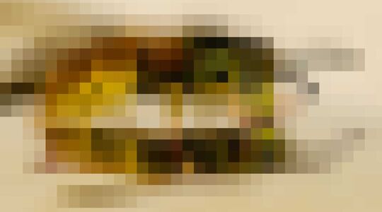 wespenplaag 2022 in tuin