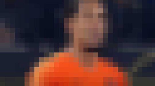 geld Nederlands elftal wk