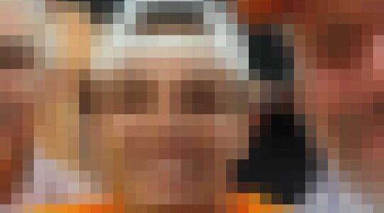 vermogen van lando norris