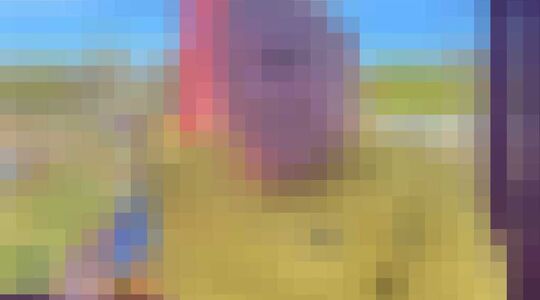 Peter Gillis dieet eetdagboek