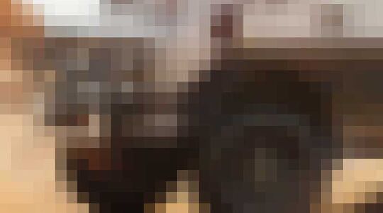 luxe Mercedes camper