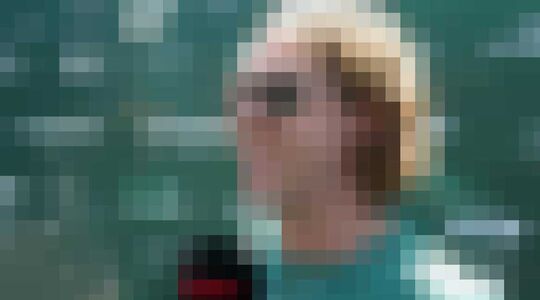 Sebastian Vettel autocollectie