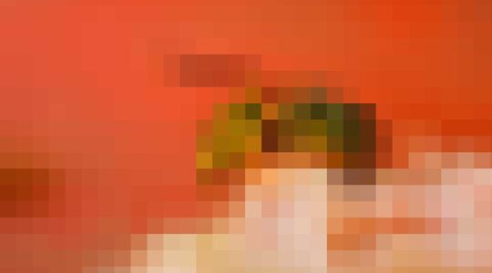 wespen op afstand houden