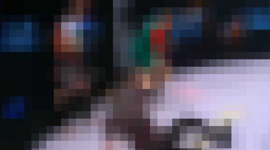 MMA-vechter scheidsrechter