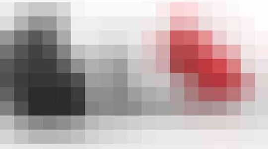 waverly labs oortjes