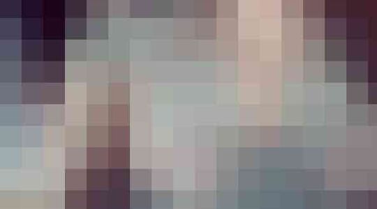 Borsten Gewoonvoorhem