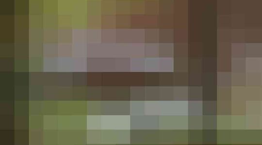 Illustratie voor: De Dom’Up is een next level boomhut!