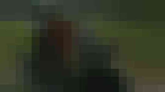 Illustratie voor: King Kong is back! Check de brute trailer van Kong: Skull Island