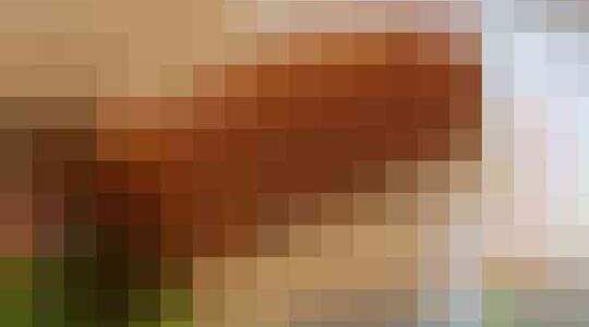 Illustratie voor: Een broodje kroket is net zo gezond als een broodje kaas