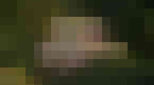 villa middenin de jungle