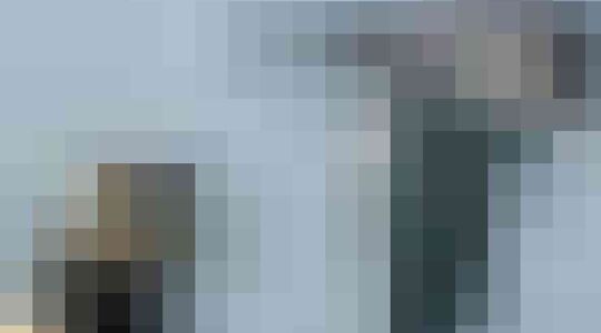 Illustratie voor: Het Russische leger wil dolfijnen kopen