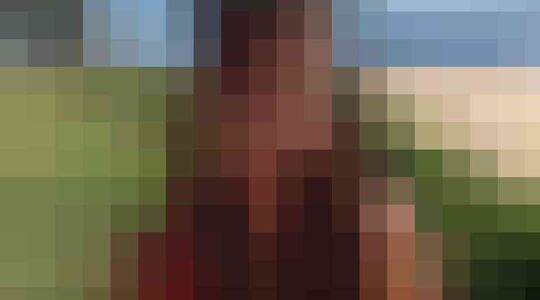 Illustratie voor: Wanhopige jonge Française op zoek naar de aanstaande vader