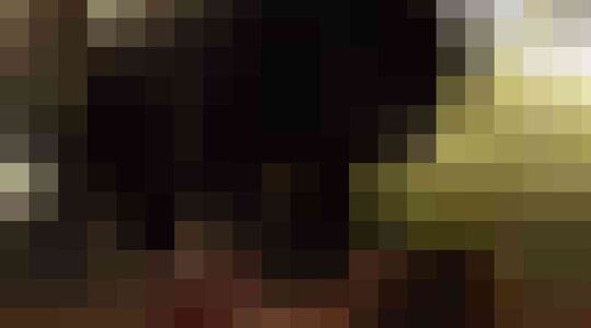 Illustratie voor: The Jungle Book: zo heb je het klassieke verhaal nog nooit gezien!