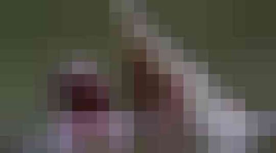 Illustratie voor: Krokodil is beste vriendjes met deze man