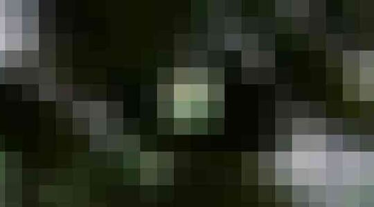 Heineken brouwerij Dubai