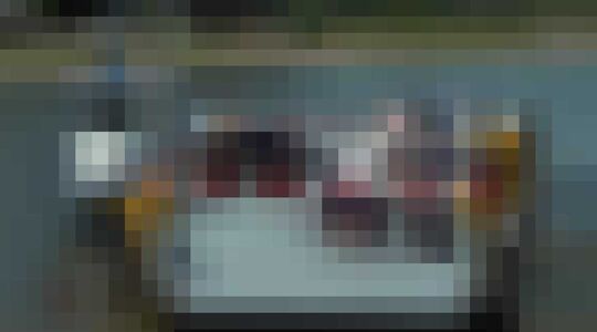 veerpont Bronkhorst - Brummen