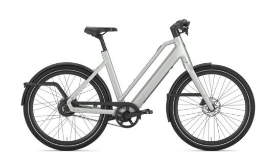 de Gazelle Cayo C310