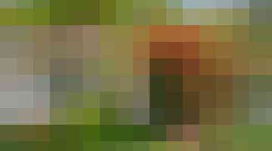 Illustratie voor: Drake koopt huis van buren zodat niemand zeikt over geluidsoverlast