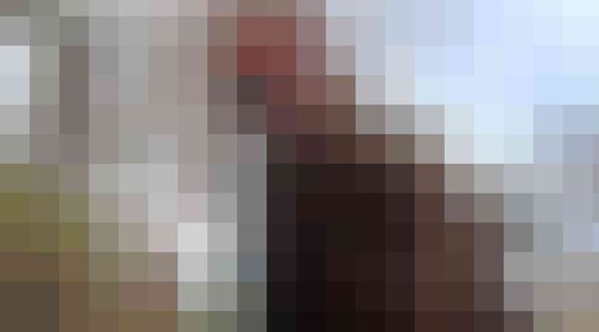 arnold schwarzenegger reparatie