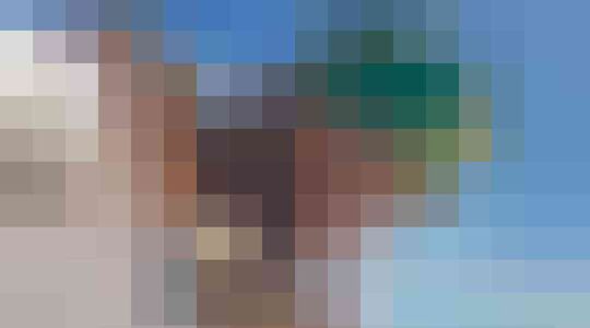 lewis hamilton petitie