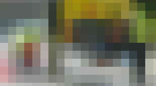 Illustratie voor: Putjesschepper slecht betaald? ‘Ik verdien 10.000 euro per maand’