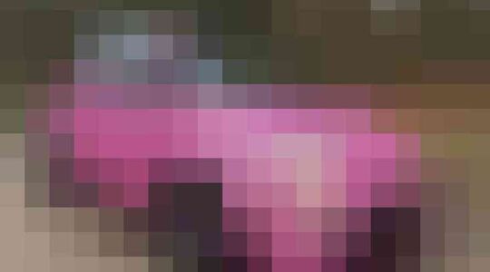 fiat 500 nicol kremers peter gillis