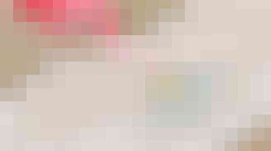 salaris toiletjuffrouw