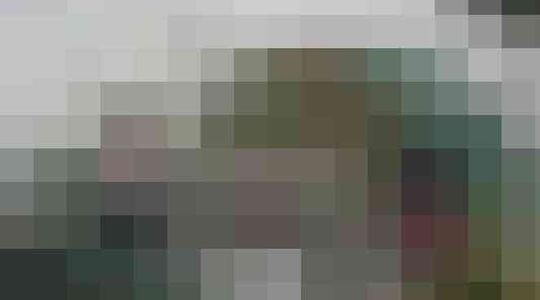 Illustratie voor: Stel bouwt in 24 jaar een zelfvoorzienend en drijvend eiland