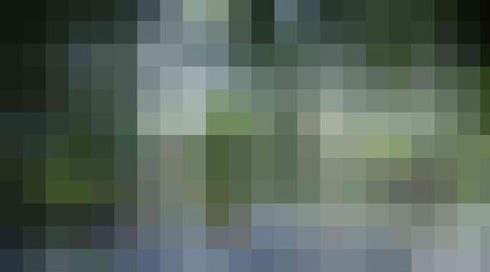 Illustratie voor: Volgend jaar komt in Dubai een hotel met indoor regenwoud!