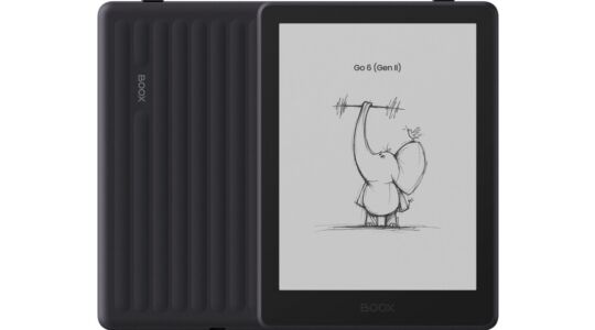 De BOOX Go 6 (Gen II)