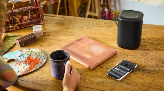 JBL Cove speakers