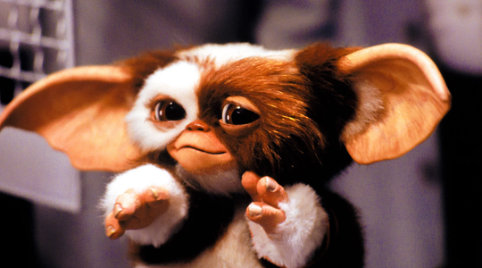 Gizmo uit Gremlins