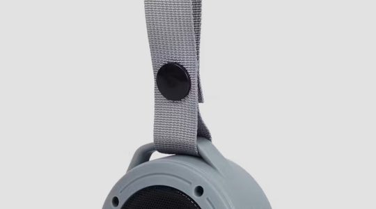 Speaker Action