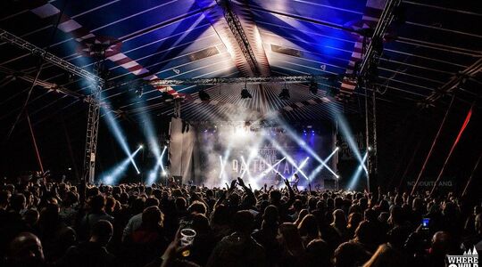 Illustratie voor: Een weekend genieten op het festival Where The Wild Things Are!