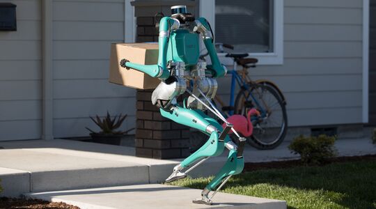 bezorgrobots