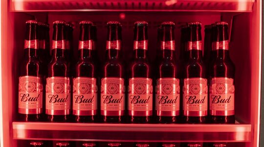 Bud bier Nederland